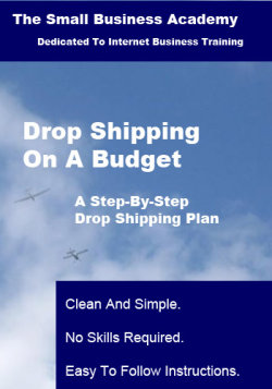 Domain Drop Shipping